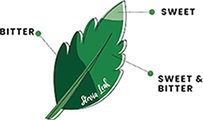 Stevia