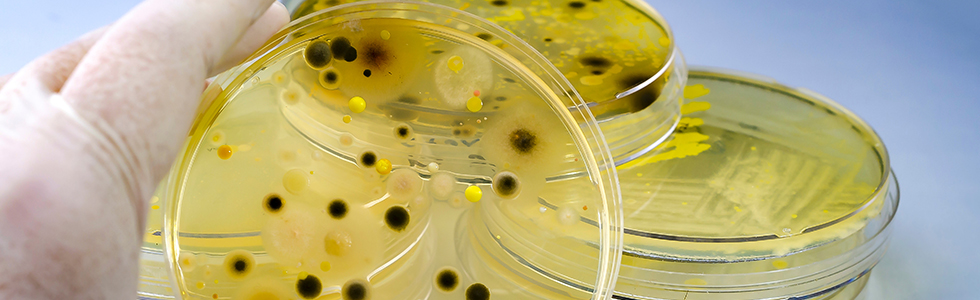 Biopharmaceuticals