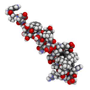 Liraglutide